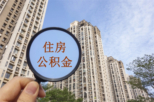 阳春辞职了补充公积金能取不（辞职后补充公积金如何提取）